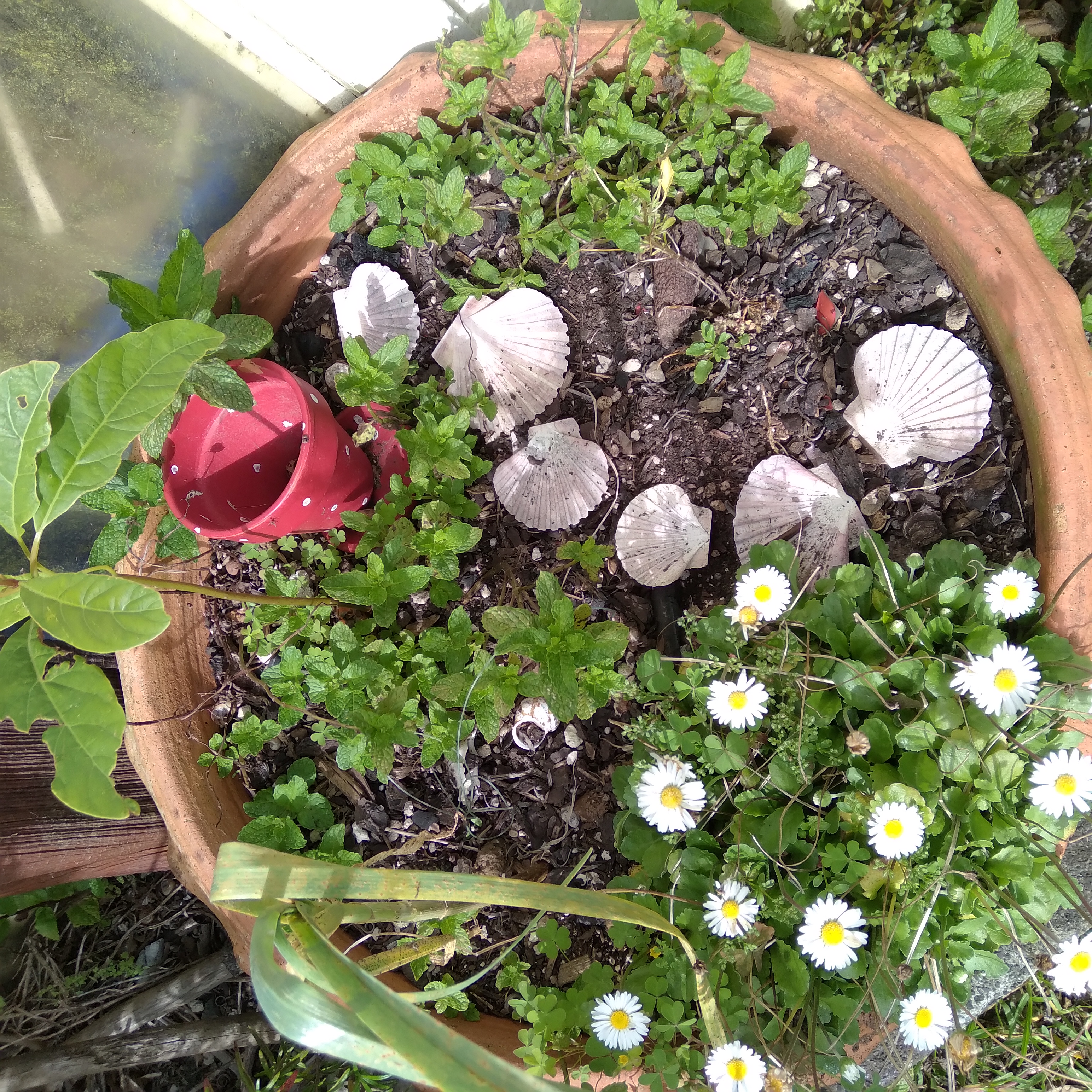 Needing some inspiration... And beetroot recommendations please