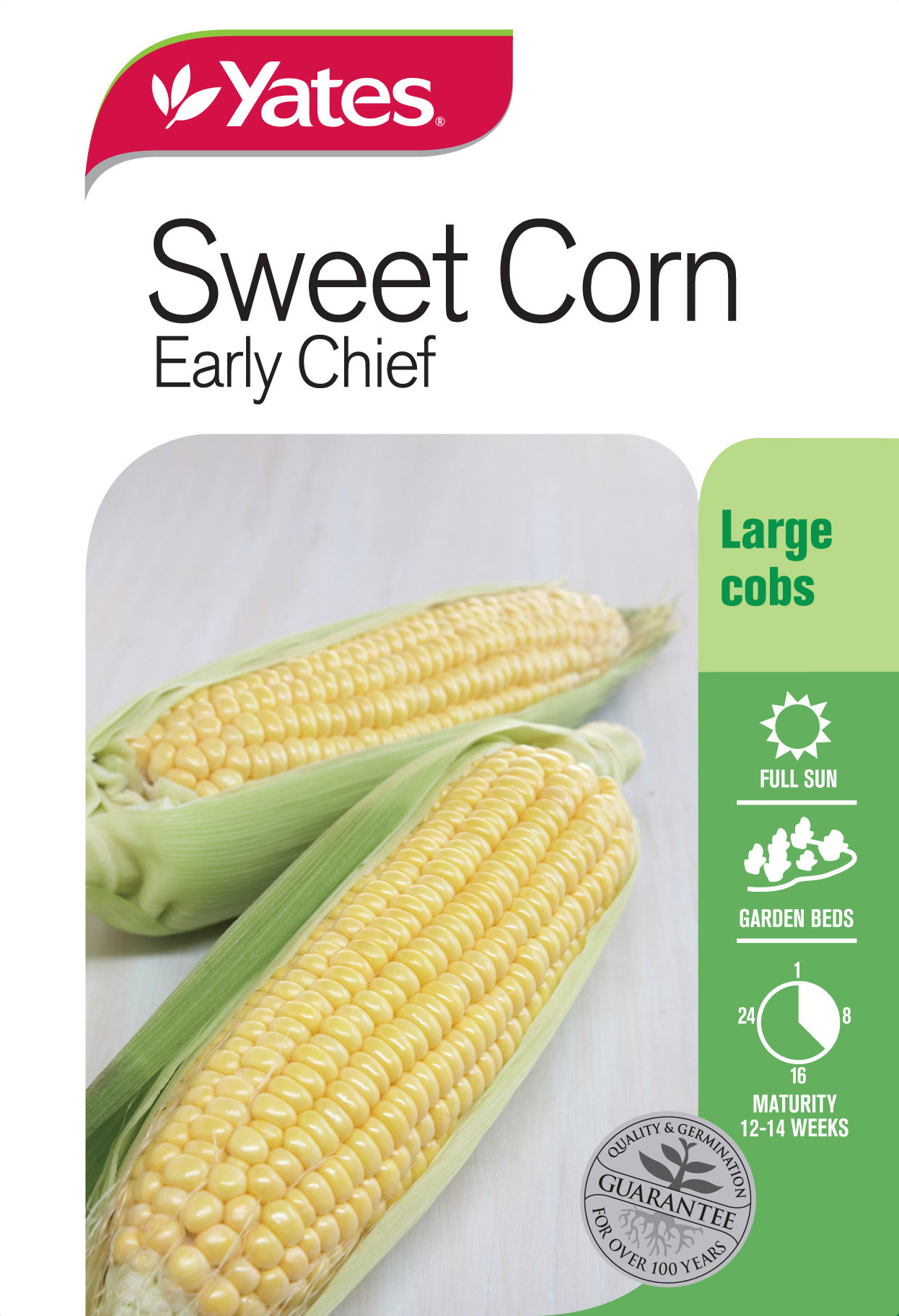 Sweet Corn 'Early Chief'