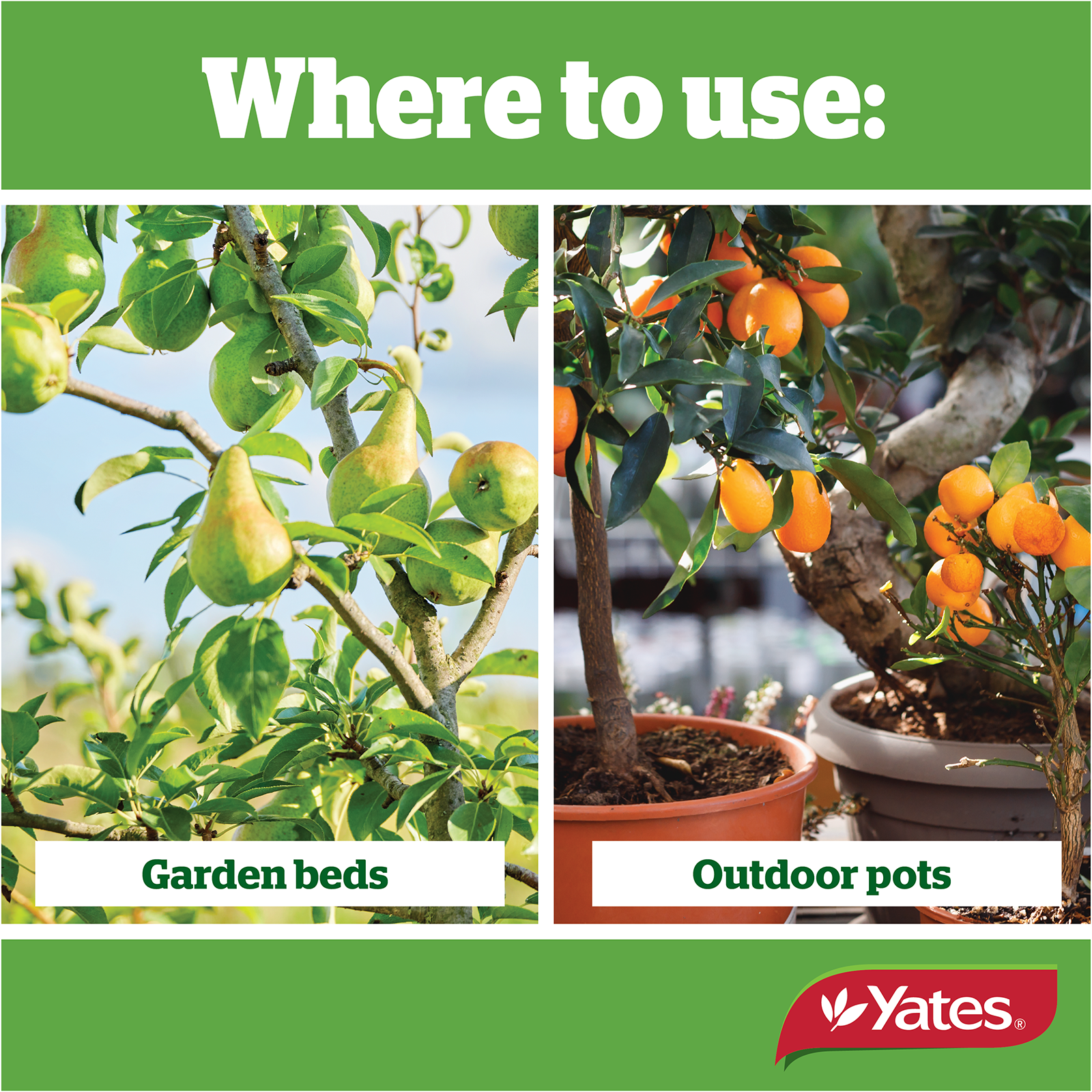 Yates Citrus Granulars V1 05