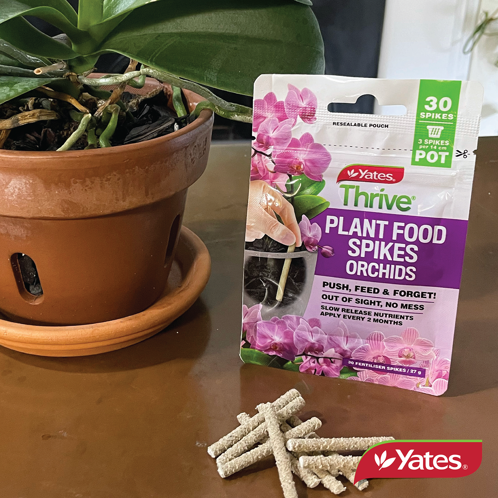 Yates Plant Spikes Orchidsv2 06
