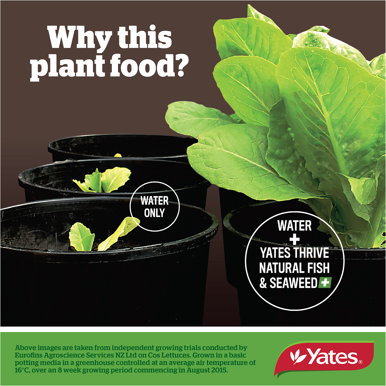 Fish & Seaweed Fertiliser V2 10