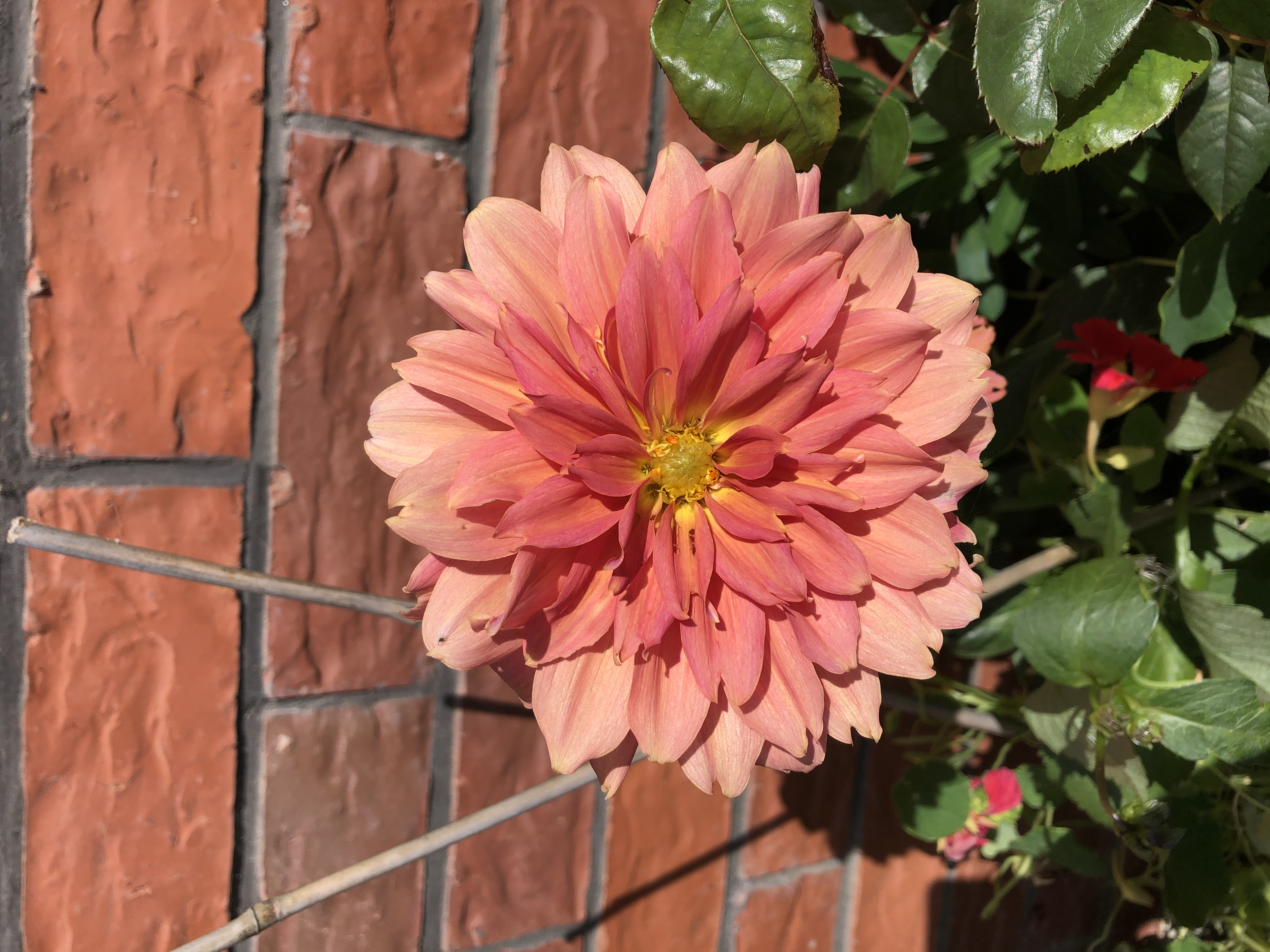 It’s the small things