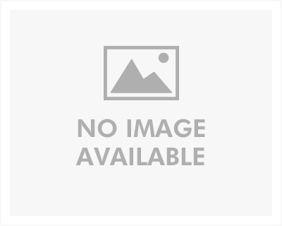 common-problems-forget-me-nots-1