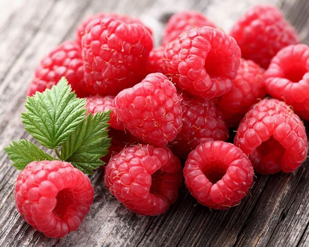 How to grow sweet, juicy and fresh Raspberries| Yates