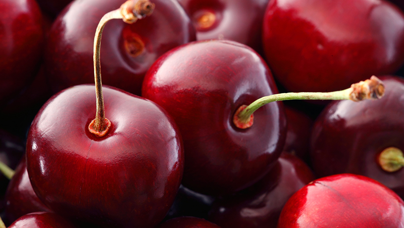 how-to-grow-cherries_1551155003036