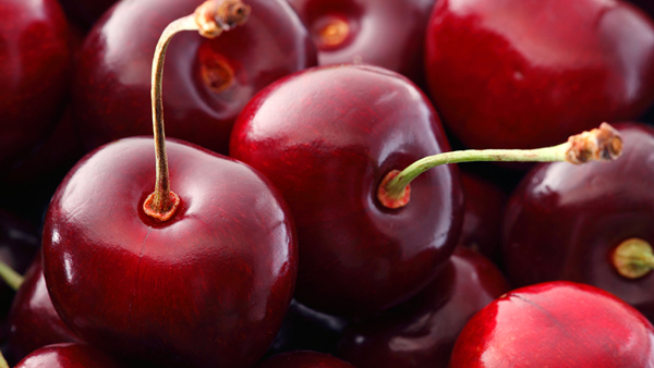 How to grow large, firm and sweet Cherries