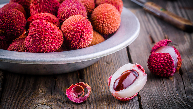 how-to-grow-lychee_1551154999919