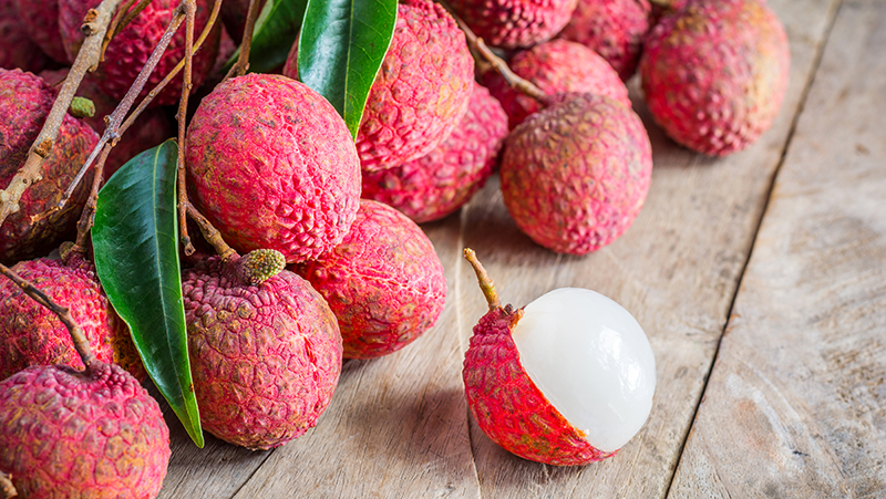 how-to-grow-lychee_1551155003533