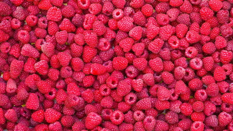 how-to-grow-raspberry_1551155009992