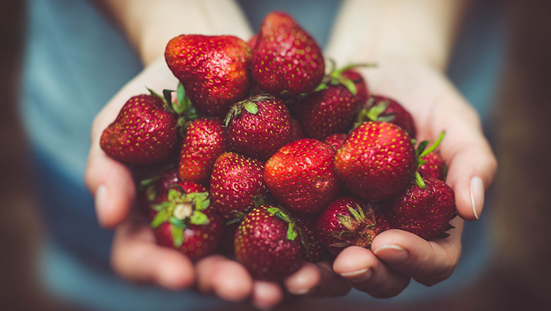 how-to-grow-strawberries_1551155007043
