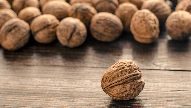 how-to-grow-walnut_1551154999326