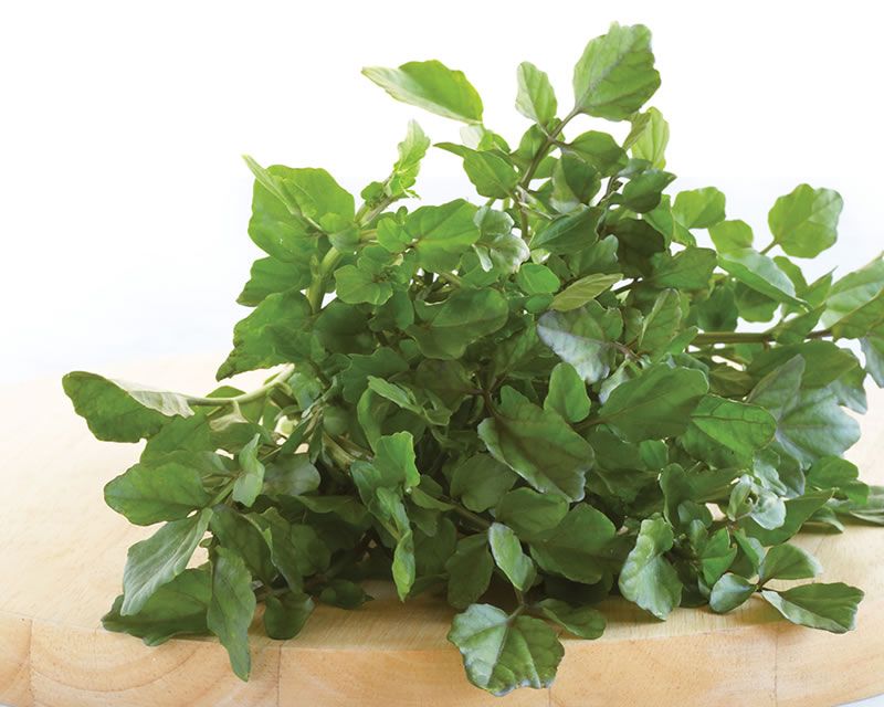 Water cress