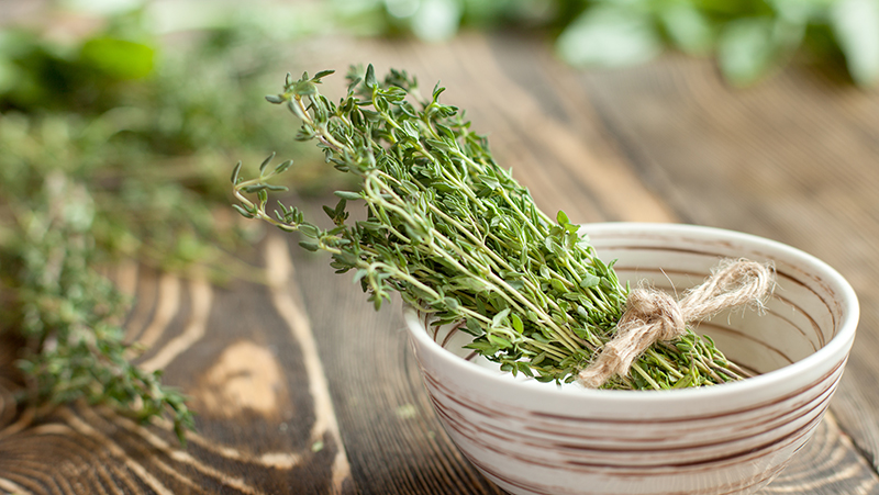 how-to-grow-thyme_1551160327515