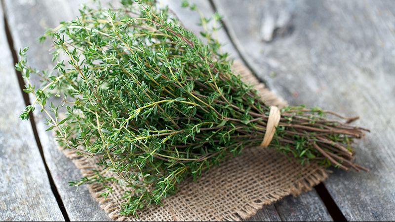 how-to-grow-thyme_1551160327993