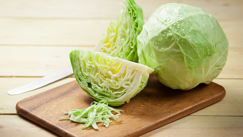 how-to-grow-cabbage_1551160517049