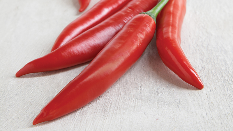 how-to-grow-chillies_1551160523645