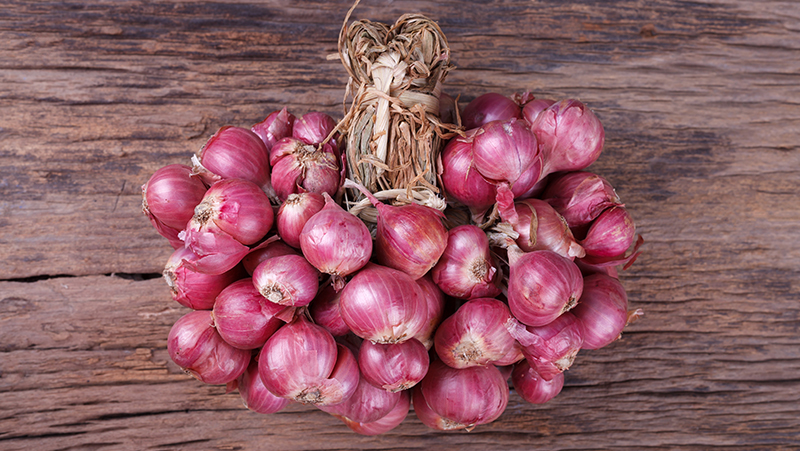 how-to-grow-garlic_1551160523433