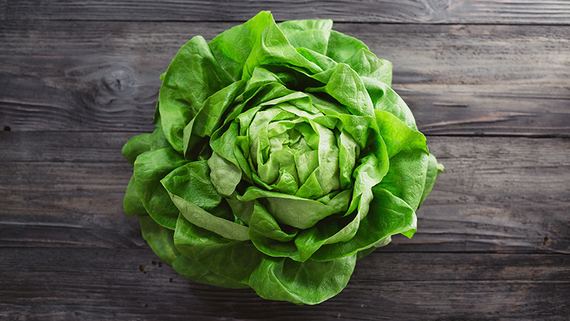 how-to-grow-lettuce_1551160523918