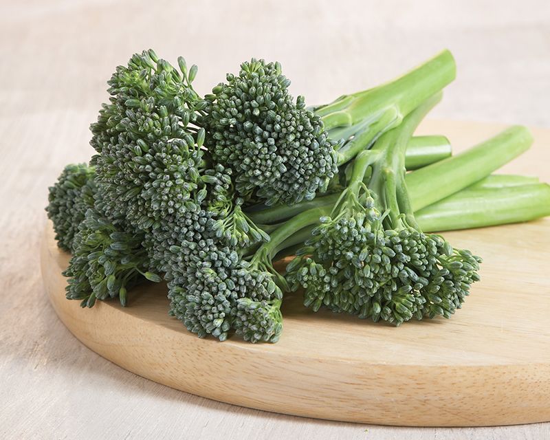How to grow broccoli | Yates