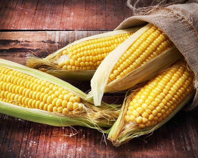Corn Vaught Corn Pictures For Kids