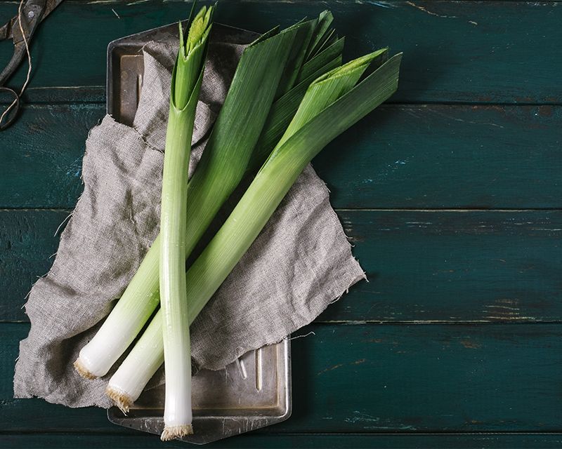 Leek