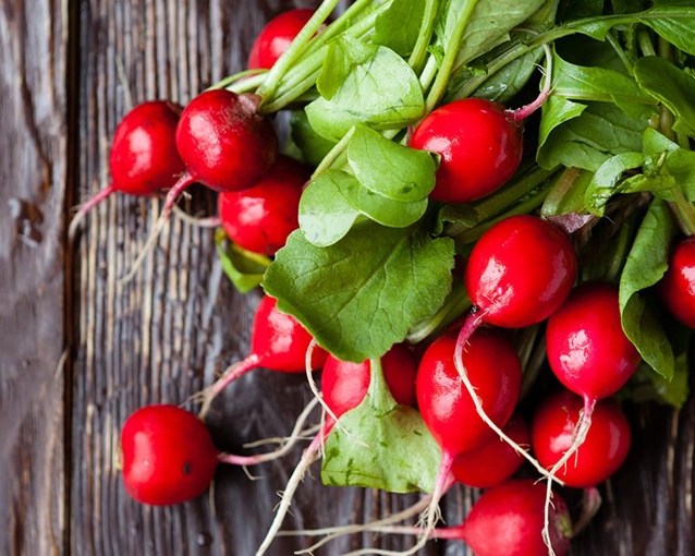 Target Radish Radishes