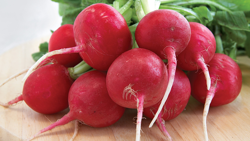 how-to-grow-radishes_1551160519366