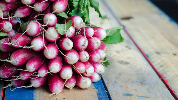 how-to-grow-radishes_1551160534141