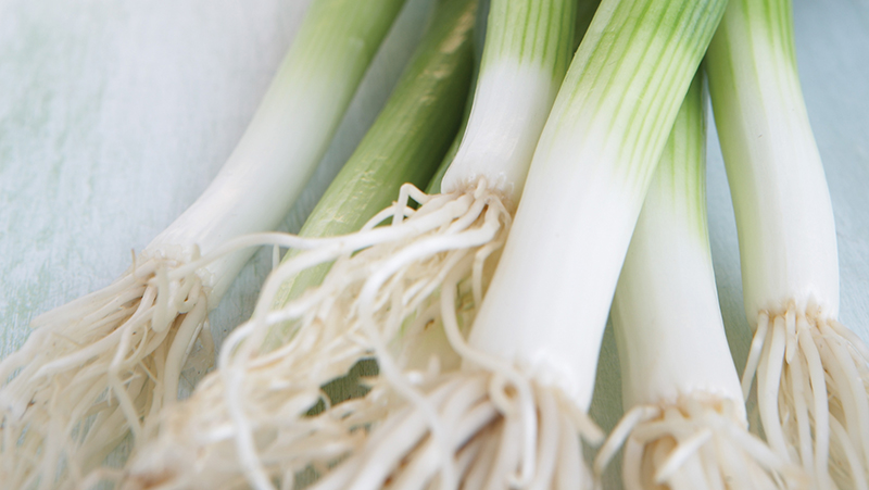 how-to-grow-spring-onion_1551160547441