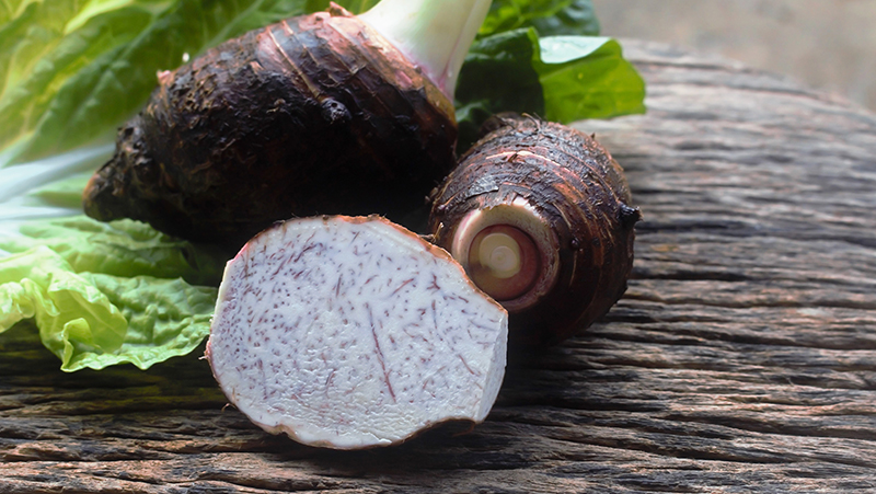 How to grow Taro | Yates