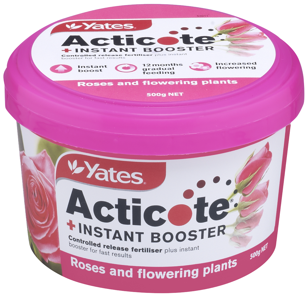 Yates Acticote + Instant Booster Controlled Release Fertiliser for Roses & Flowering Plants