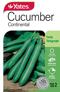 Cucumber 'Continental'