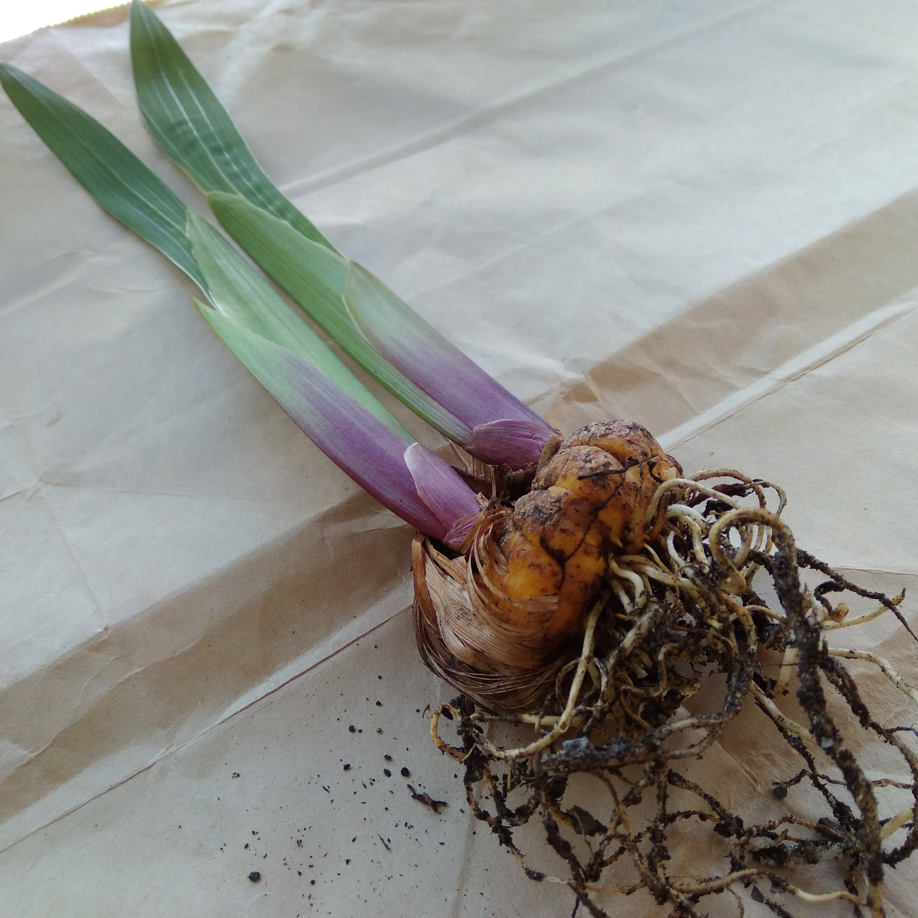 Taking time to stop and look ...