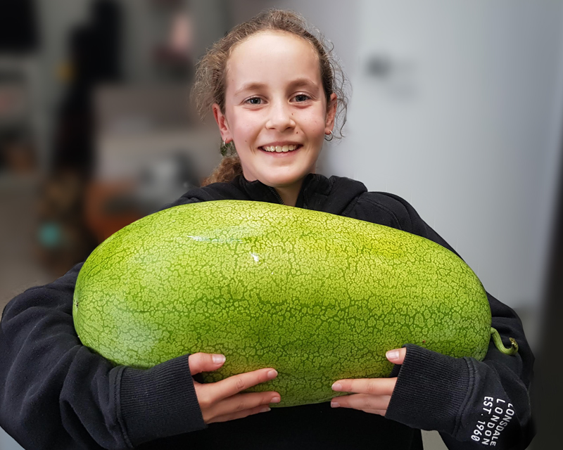 Featured Kiwi Gardens