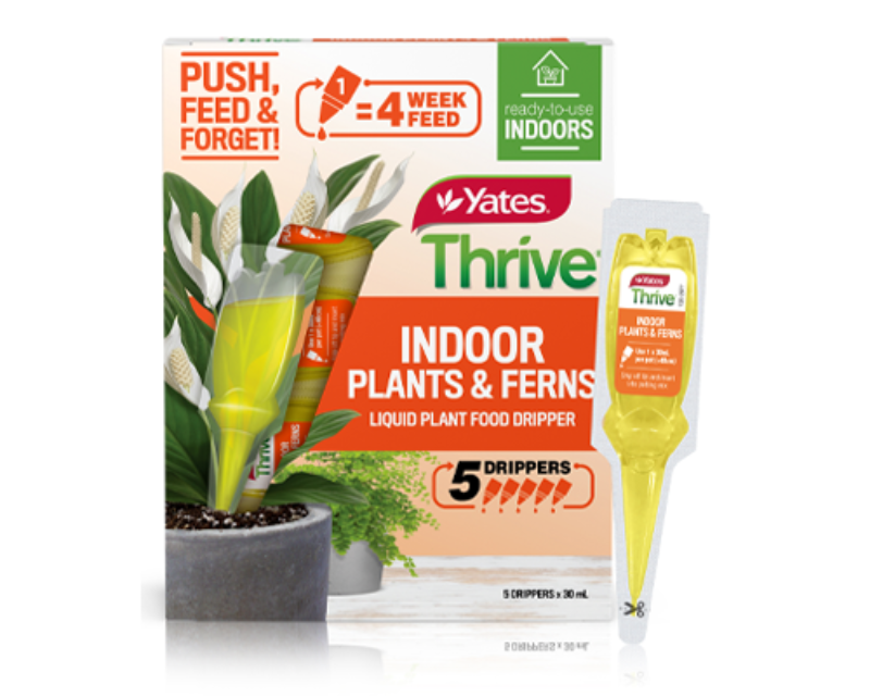 Yates Thrive Indoor Plants & Ferns Liquid Food Drippers