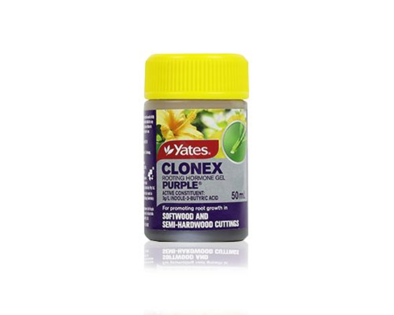 Yates Clonex Rooting Hormone Gel - Purple
