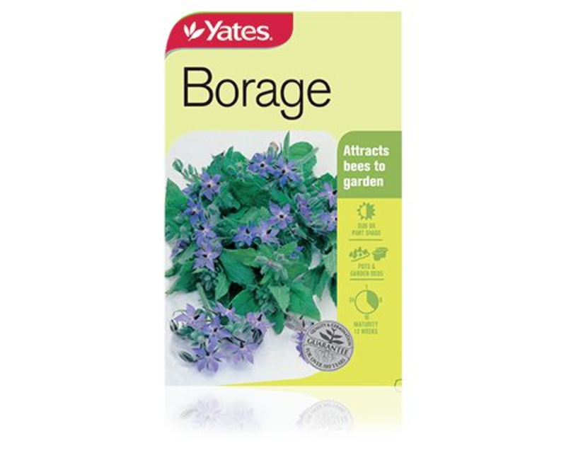 Borage