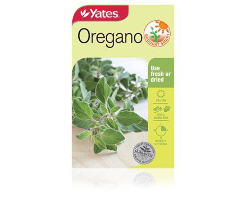 Oregano