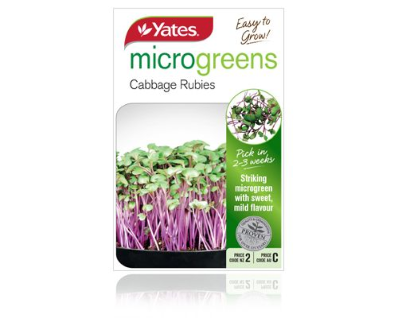 Microgreens Cabbage Rubies