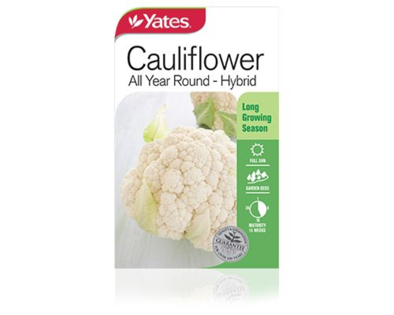 Cauliflower All Year Round - Hybrid