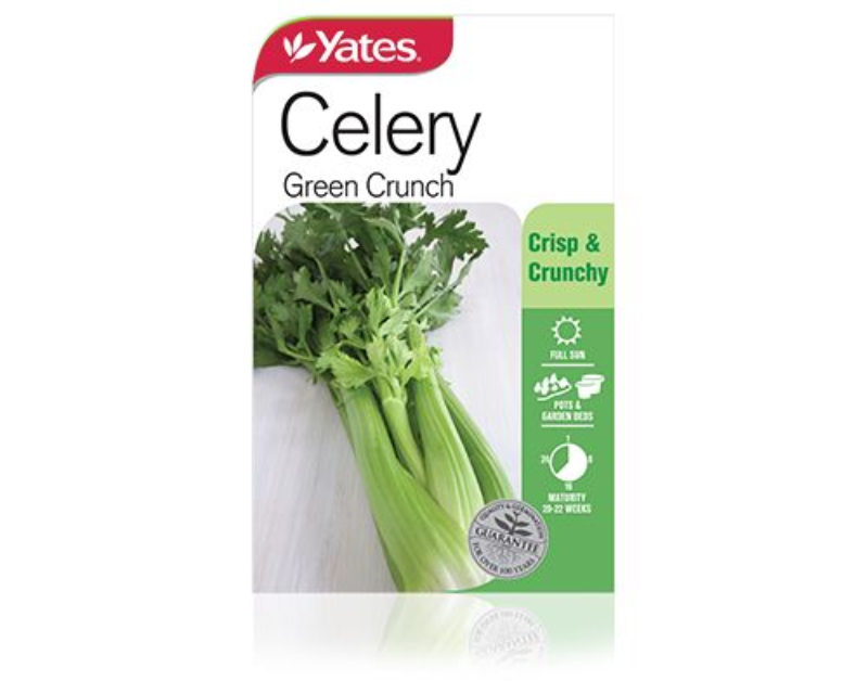 Celery Green Crunch