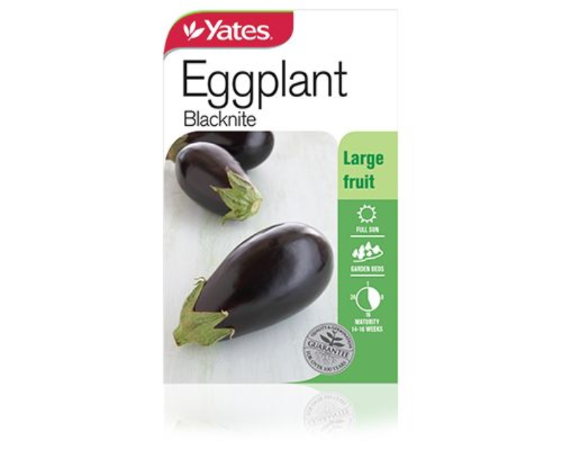 Eggplant Blacknite
