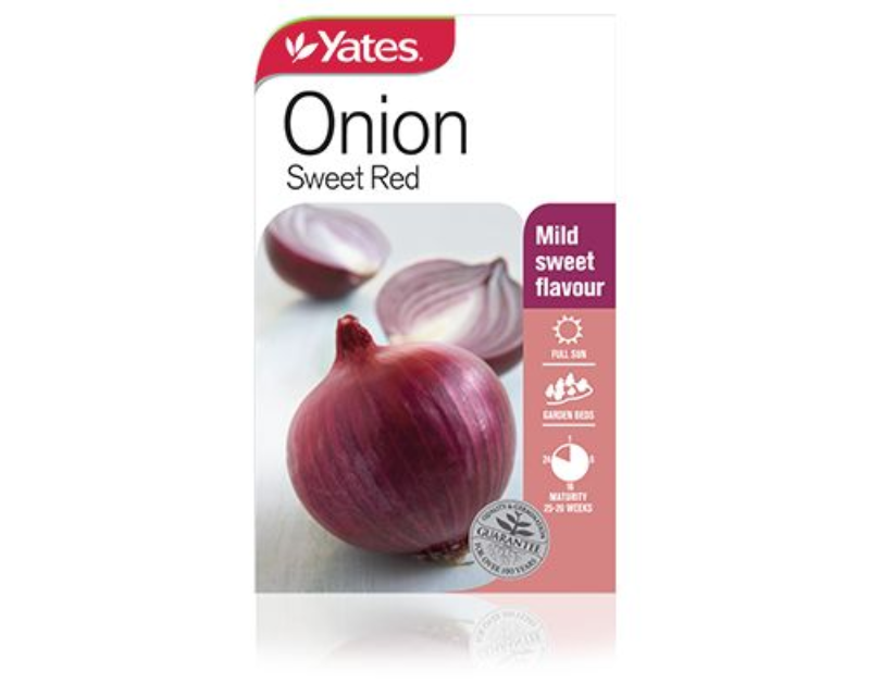 Onion Sweet Red