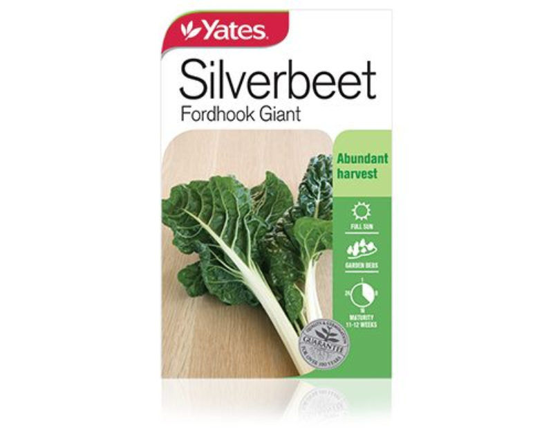 Silverbeet Fordhook Giant