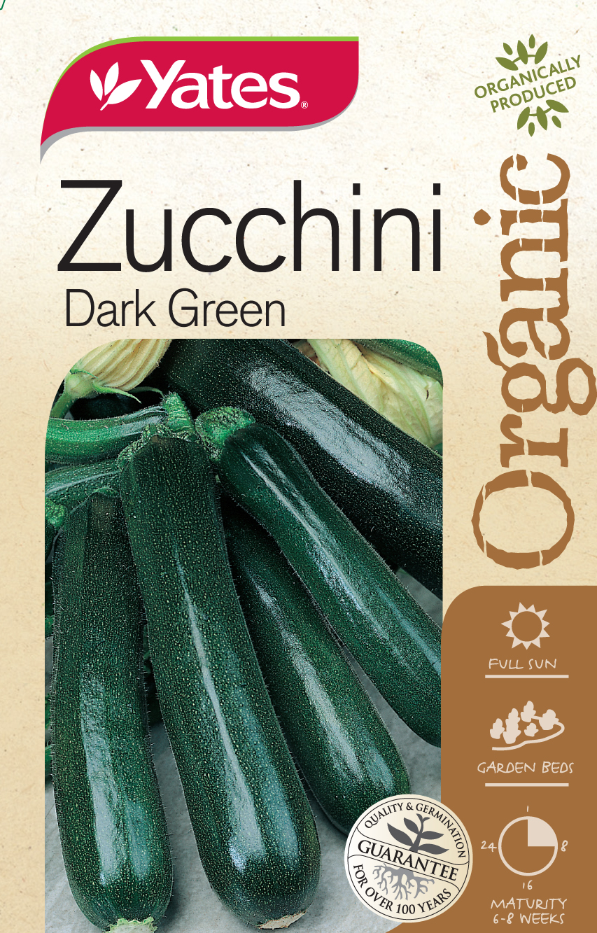 Zucchini 'Dark Green' (Organic)