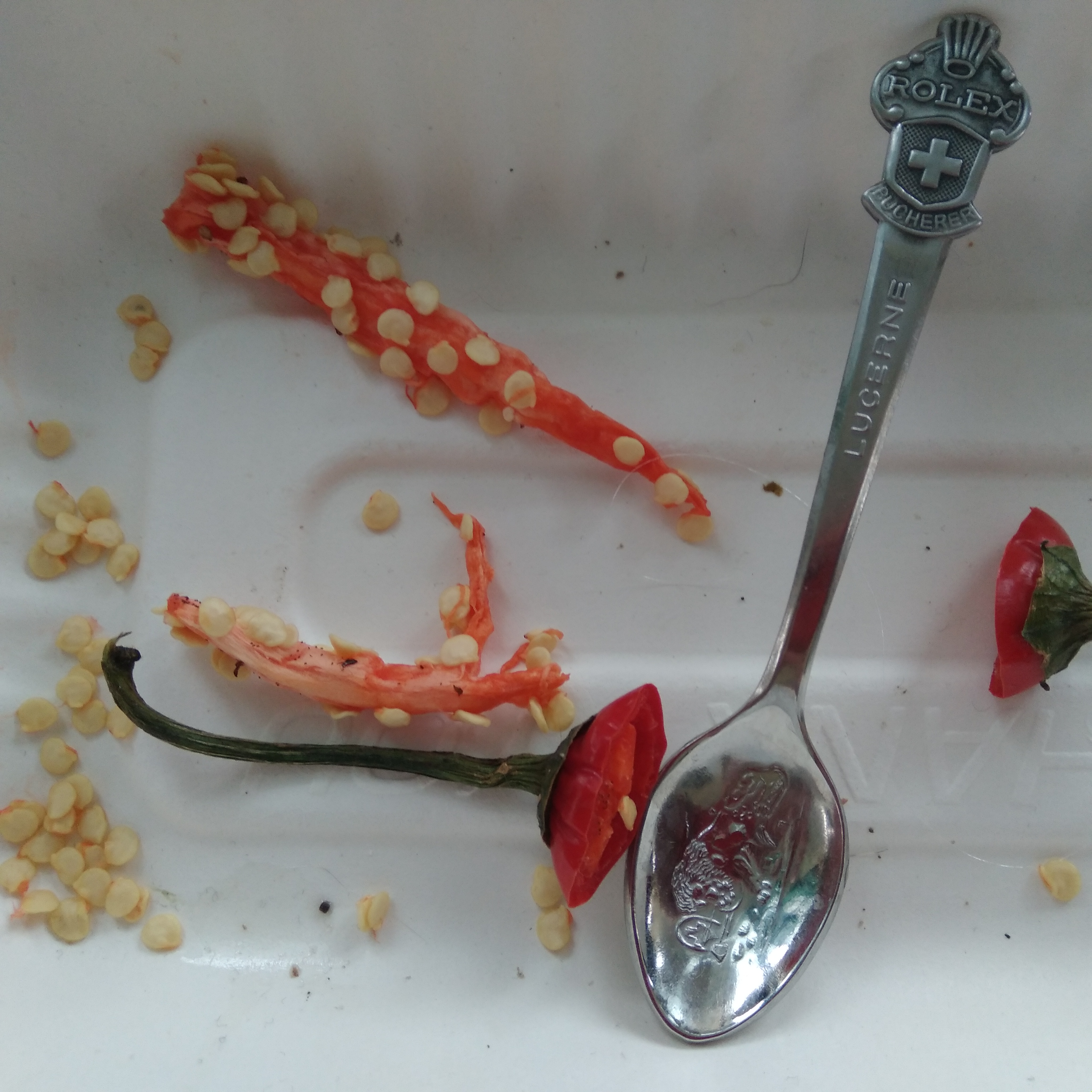 Finally found a use for my Rolex!