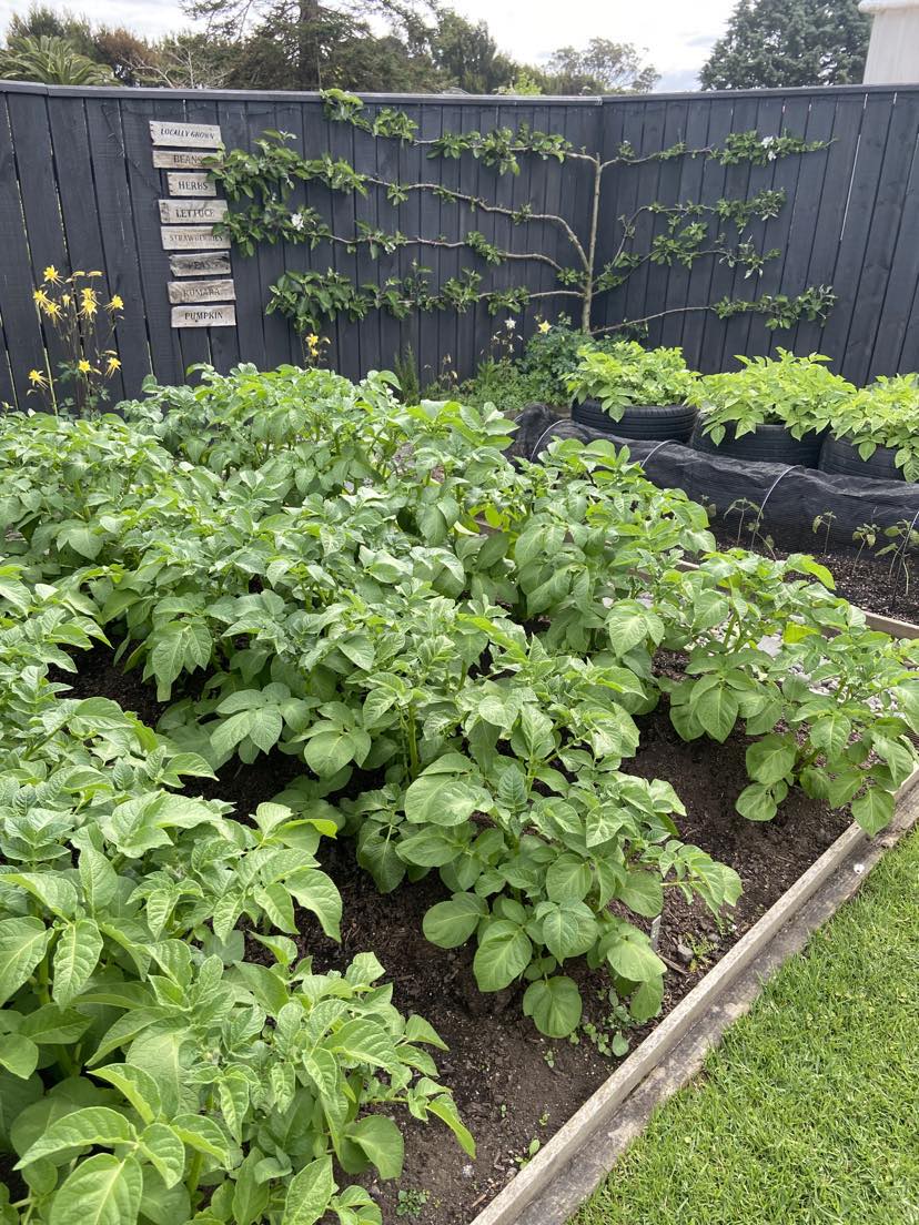 One of these things is not like the other....