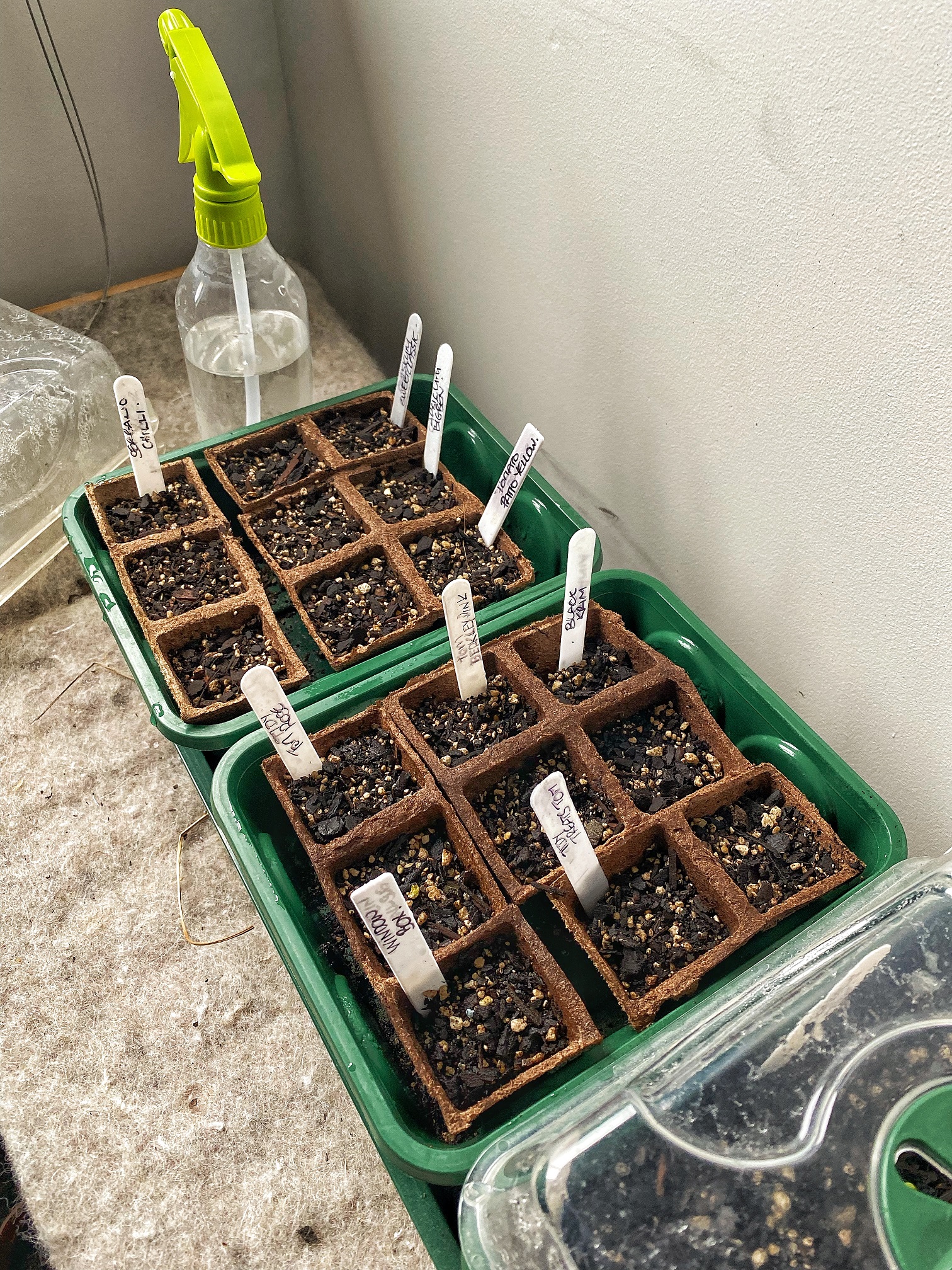 Slow & Steady....and a heat pad!