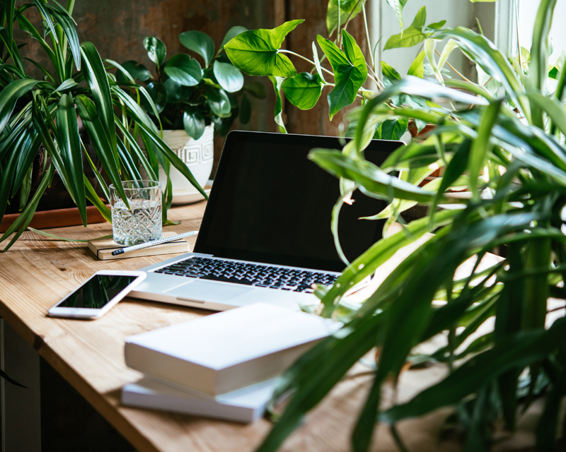 Create a Leafy Home Office