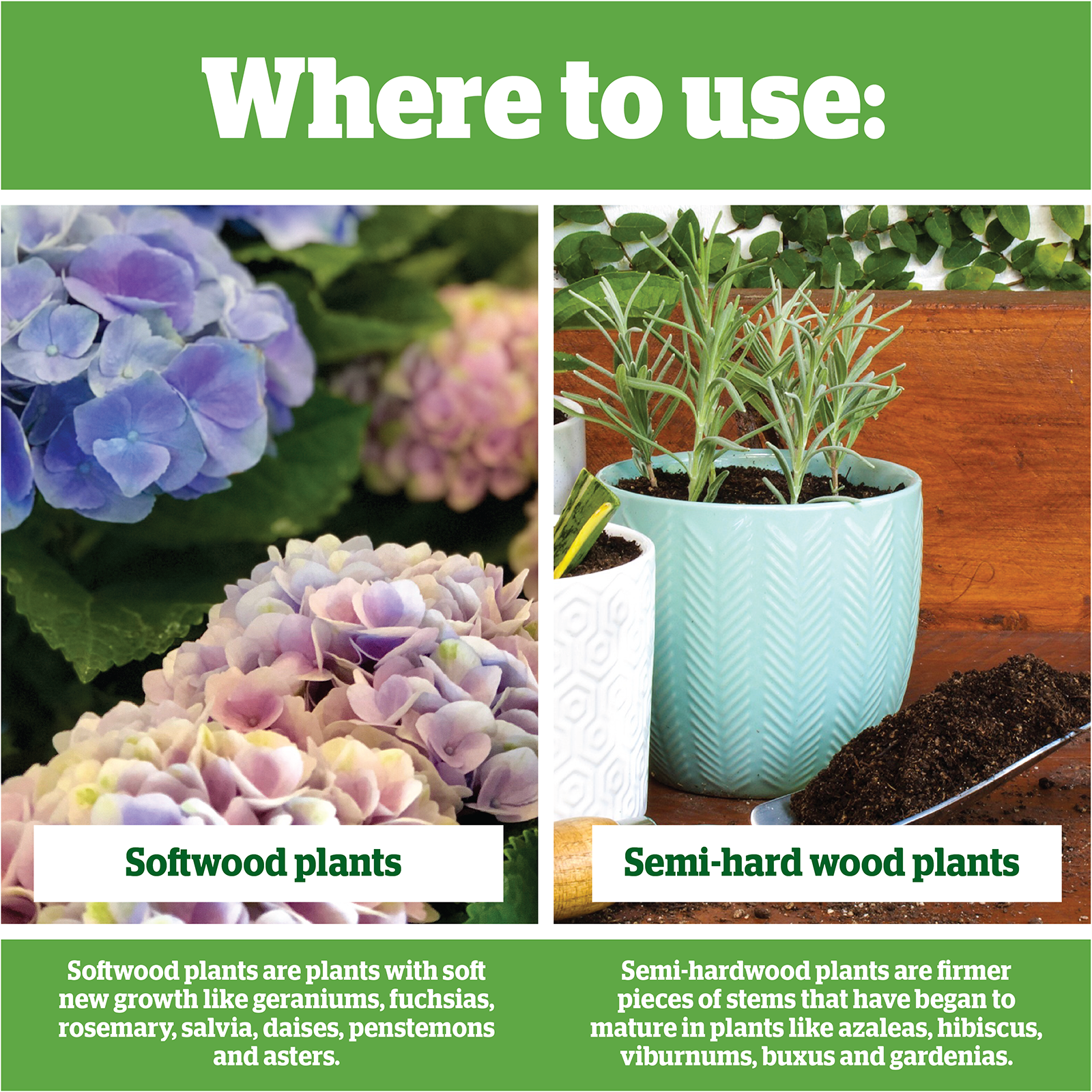 Yates Clonex Web V2 03